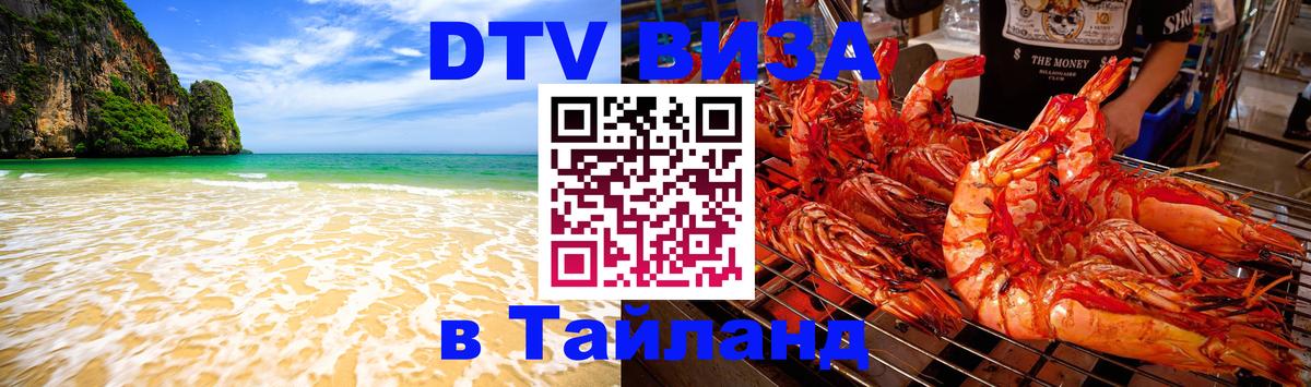 Оформление DTV визы под ключ: стоимость и тарифы, только загранпаспорт - Анкара 